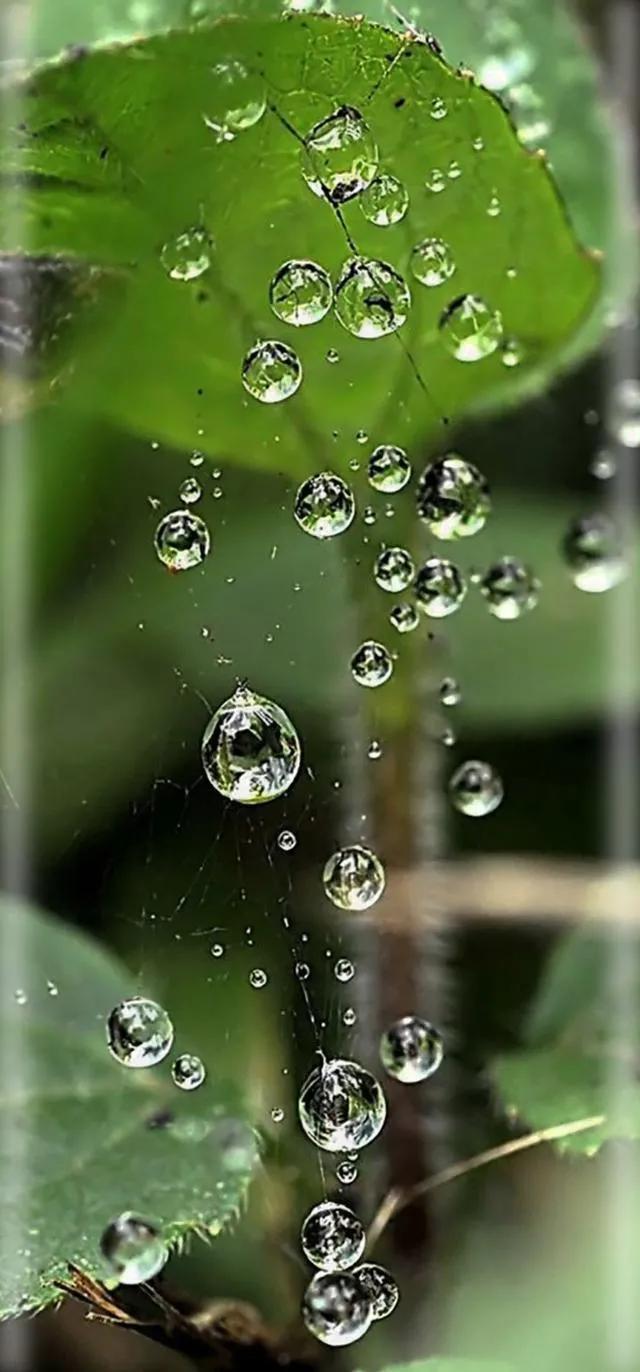 下雨天在家玩手机，一种独特的休闲体验