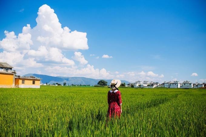 西双版纳当地报团旅游攻略