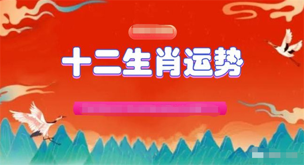 2025年一肖一码-精选解析与落实的详细结果