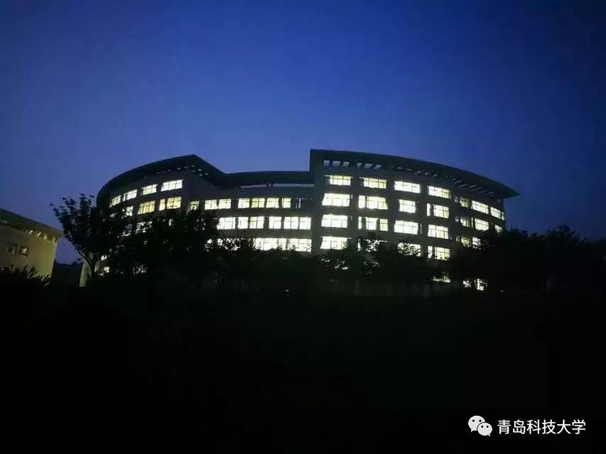 青岛科技大学高数，探索学术的明珠